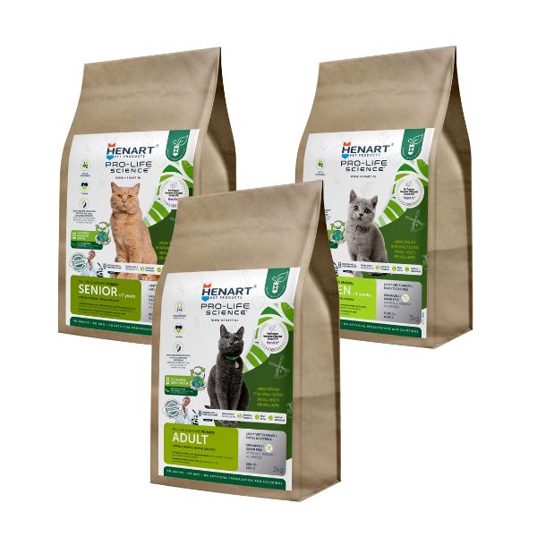 cat insect food